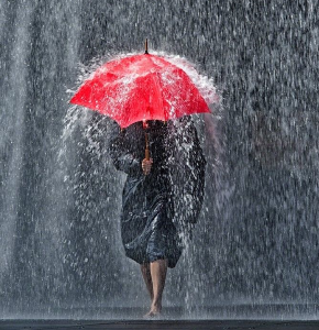 Rain discount and umbrella